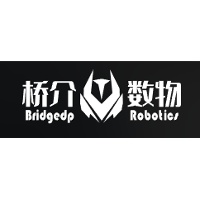 BridgeDP (Shenzhen) Technology Co. Ltd