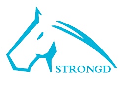 Shenzhen Strongd Model Technology Co. Ltd