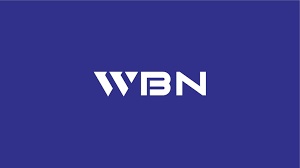 SHENZHEN WABONY ELECTRONIC CO. LTD.