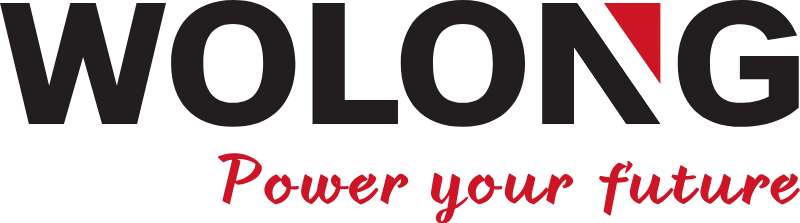 Wolong Electric Drive Group 卧龙电气驱动集团股份有限公司