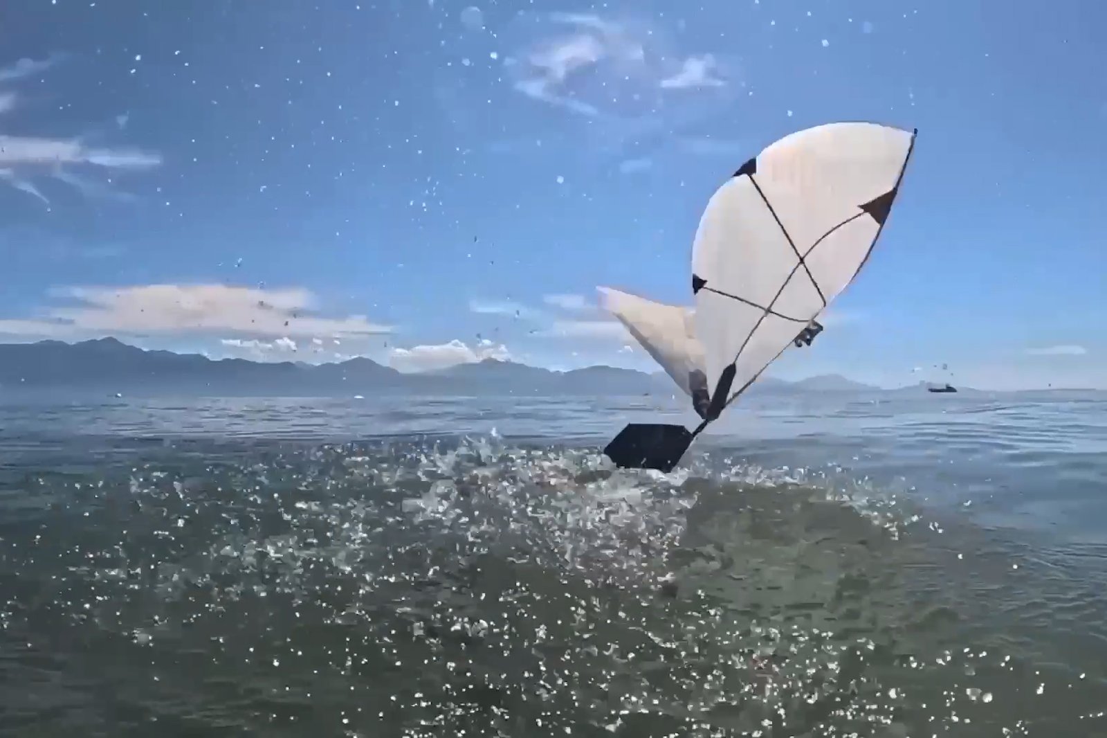 MIT and EPFL's Flapping Robot Flies and Swims Like a Bird
