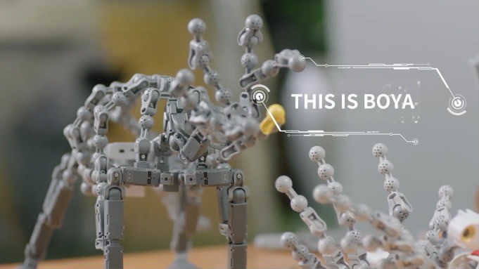 Boya Multi-DOF Robot Kits (Boya 0-8)