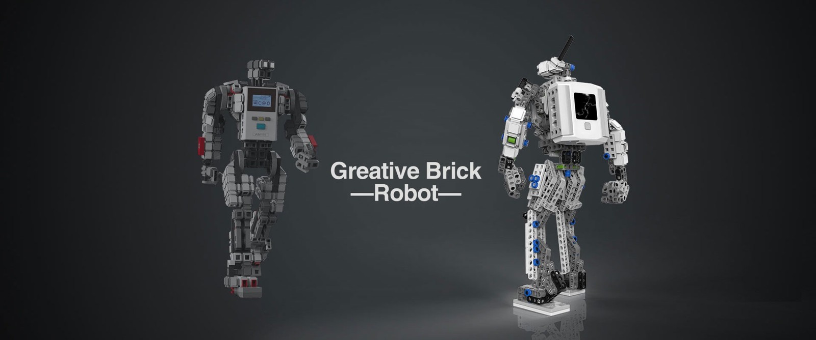 Creative Brick Series (C1 / C202 / C203)