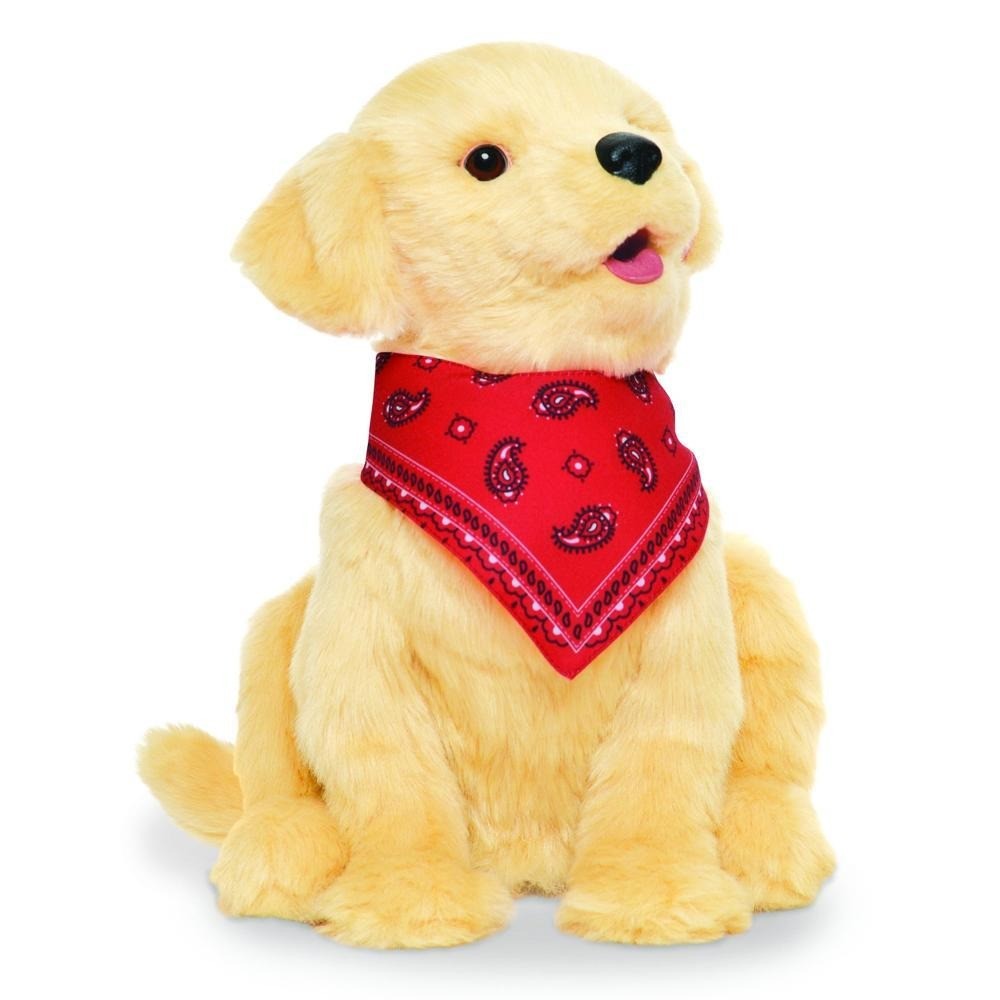 Companion Pet Pup