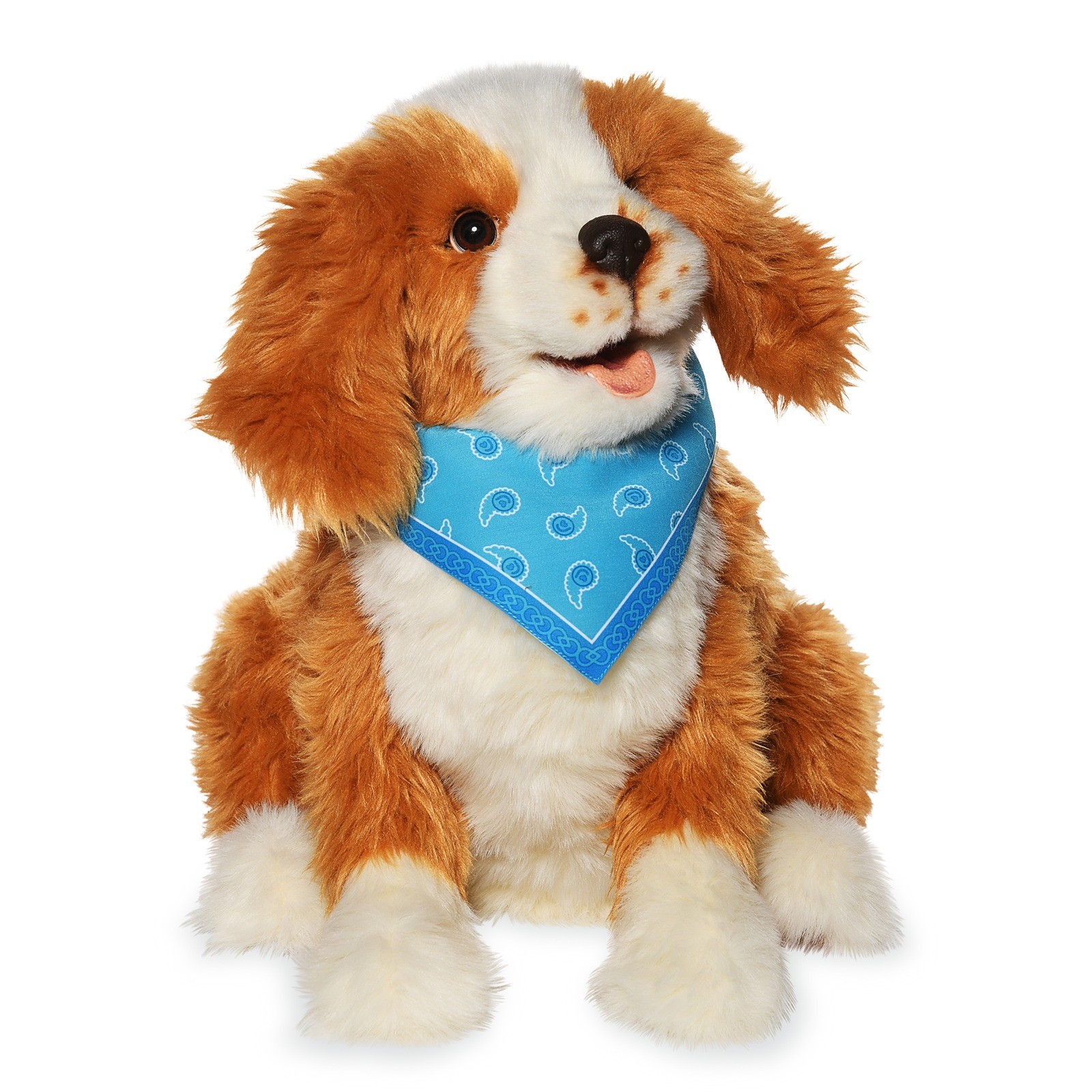 Companion Pet Pup