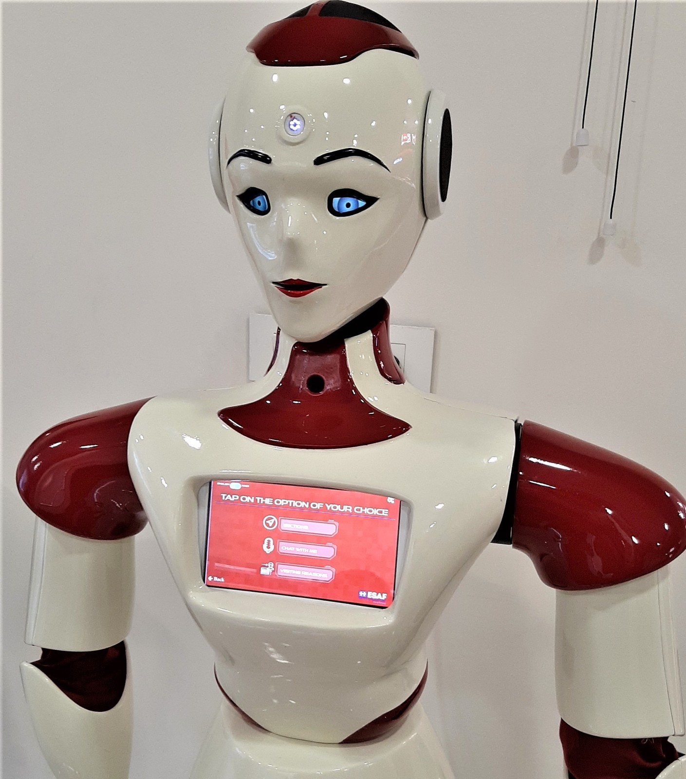 Sayabot robot