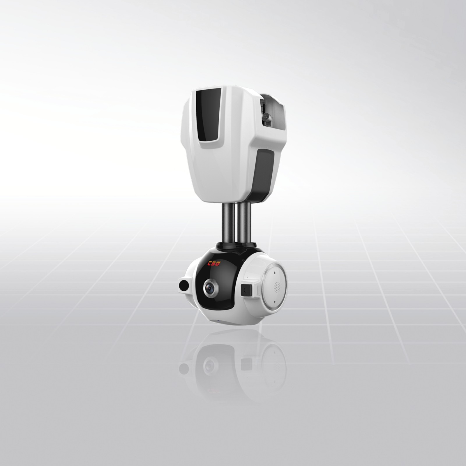 PIR-DS300