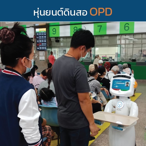 Dinsaw Pro4