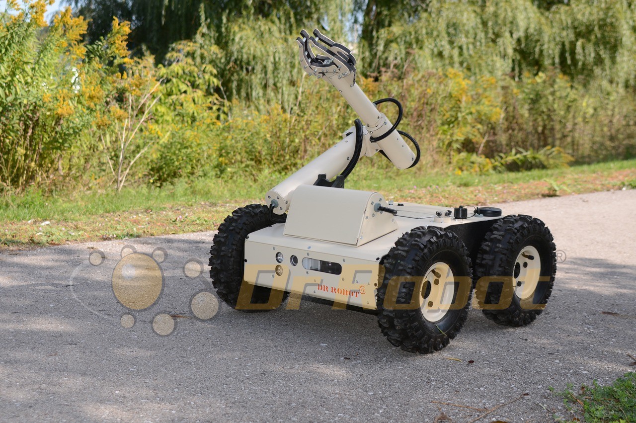 Jaguar 4x4 Wheel with Arm