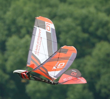 ESD Eagle X robot