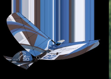 ESD Eagle X