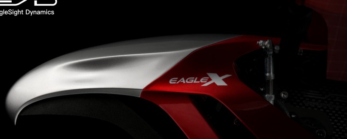 ESD Eagle X
