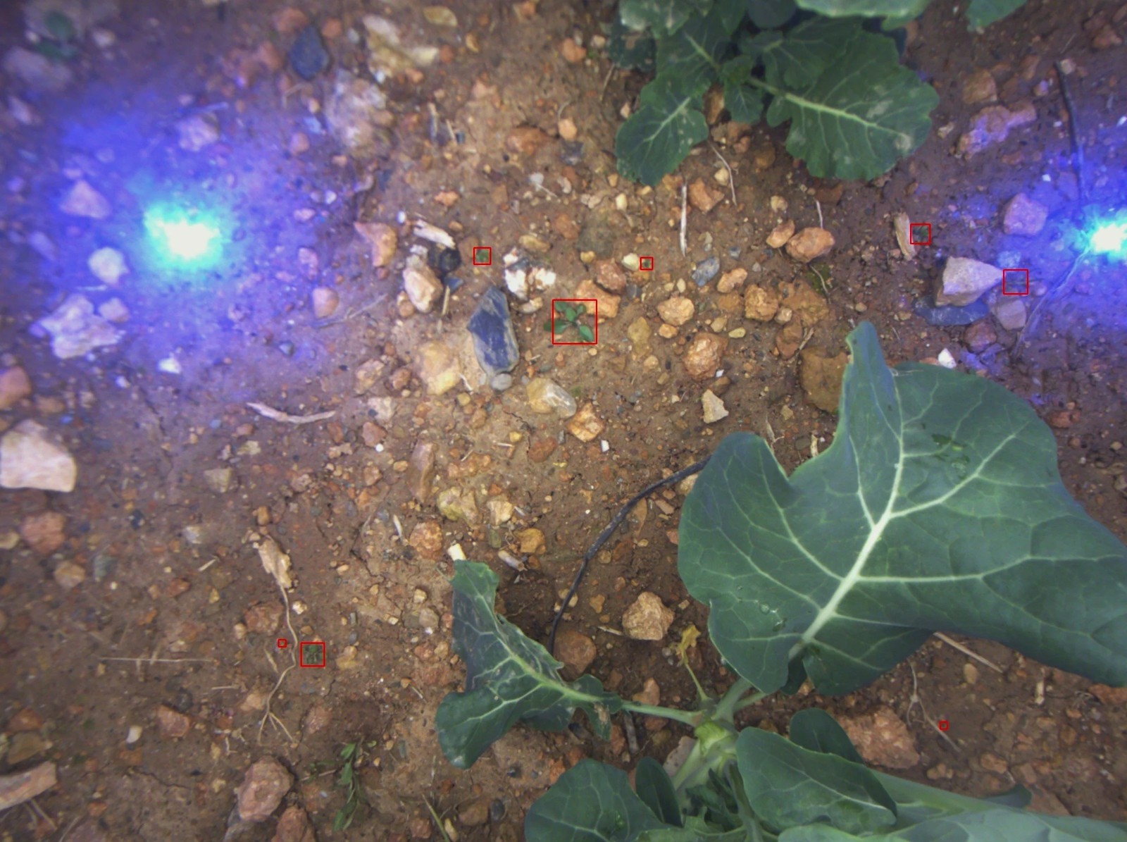Earth Rover CLAWS
