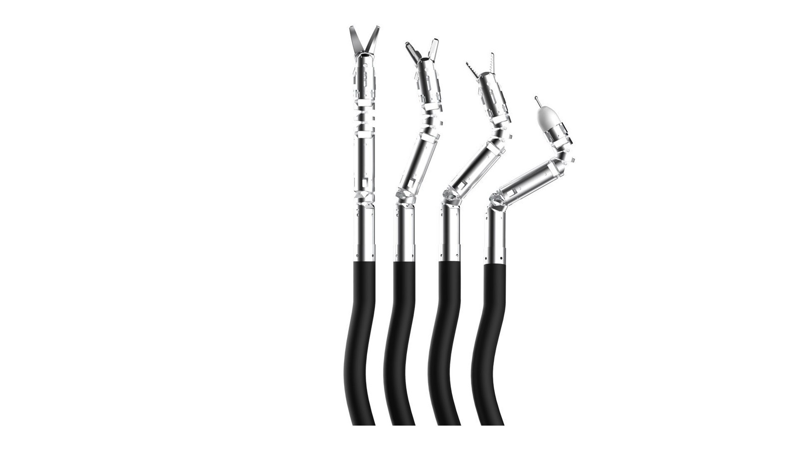 Endoluminal Robotic Surgical System