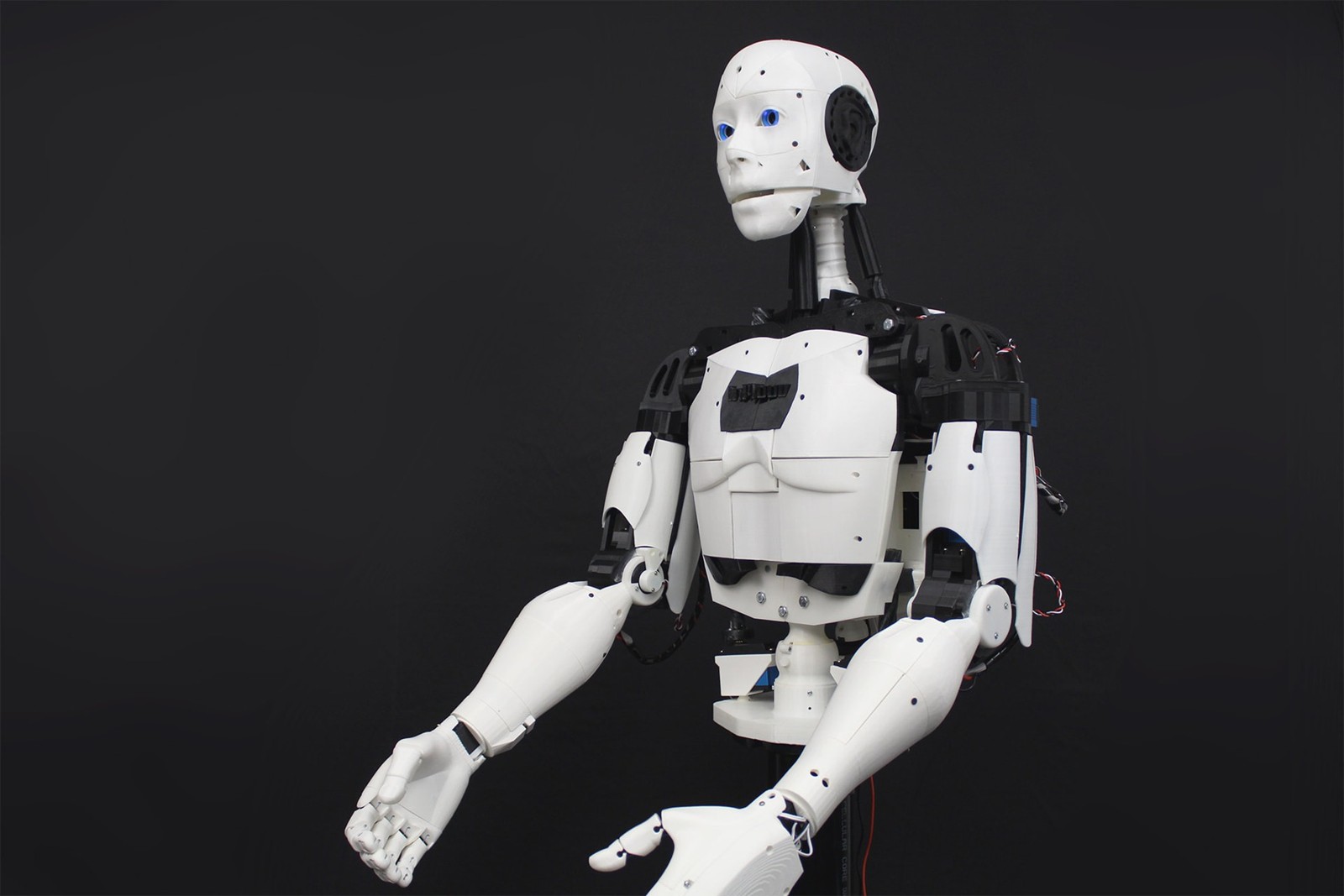 EZ-InMoov Humanoid Robot