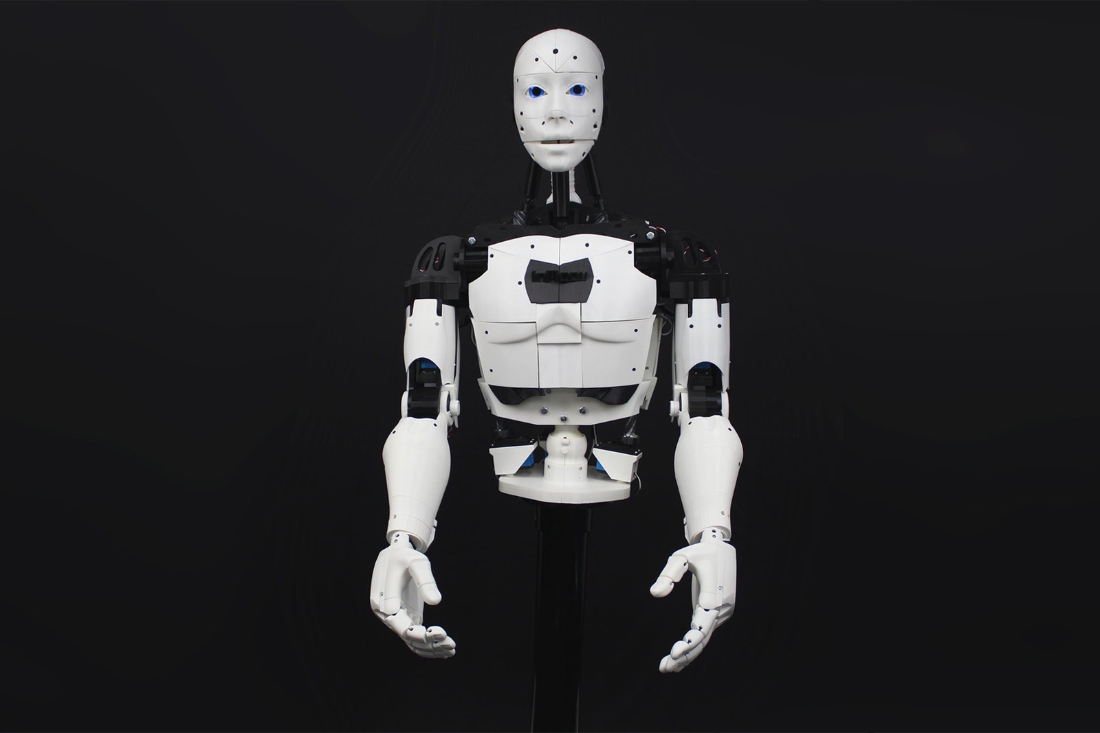 EZ-InMoov Humanoid Robot