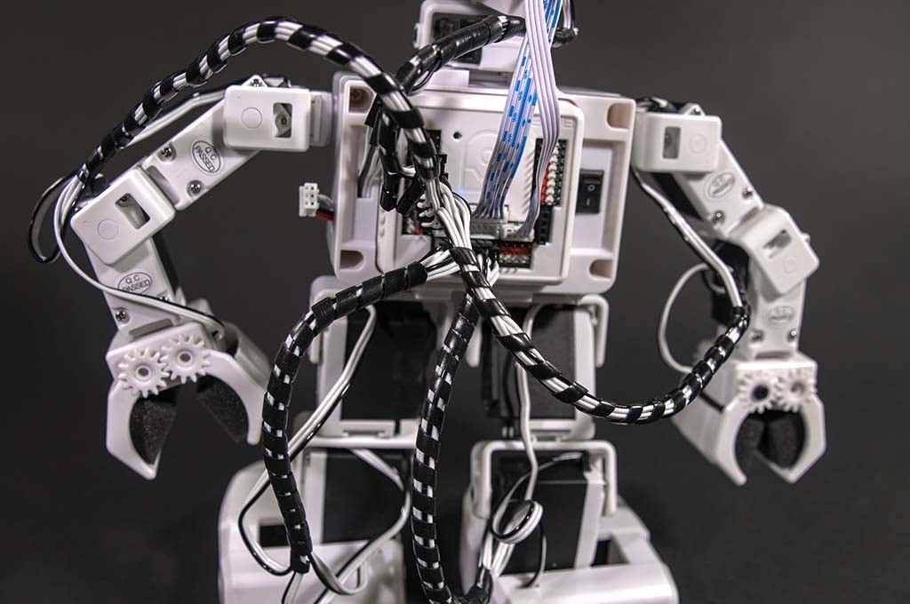 JD Humanoid