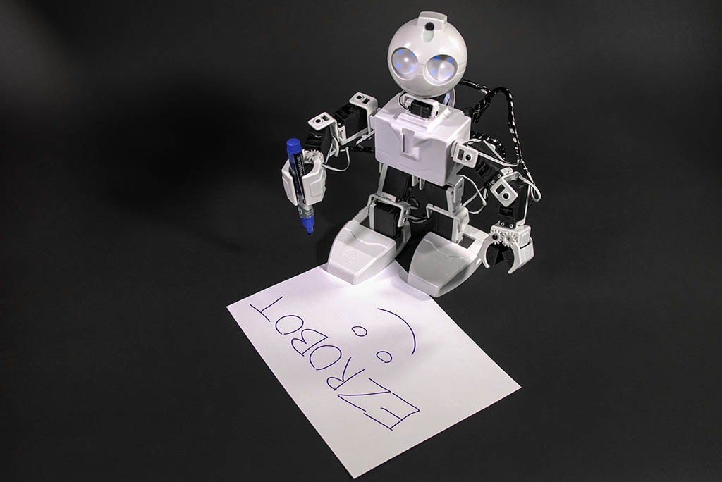 JD Humanoid
