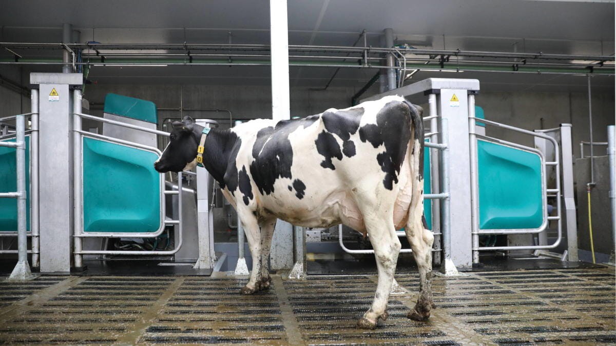 DairyRobot R9500