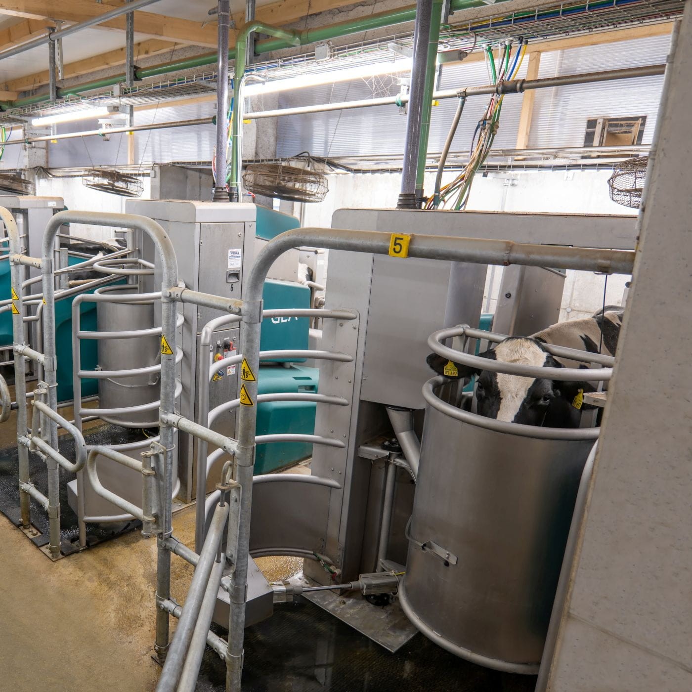 DairyRobot R9600
