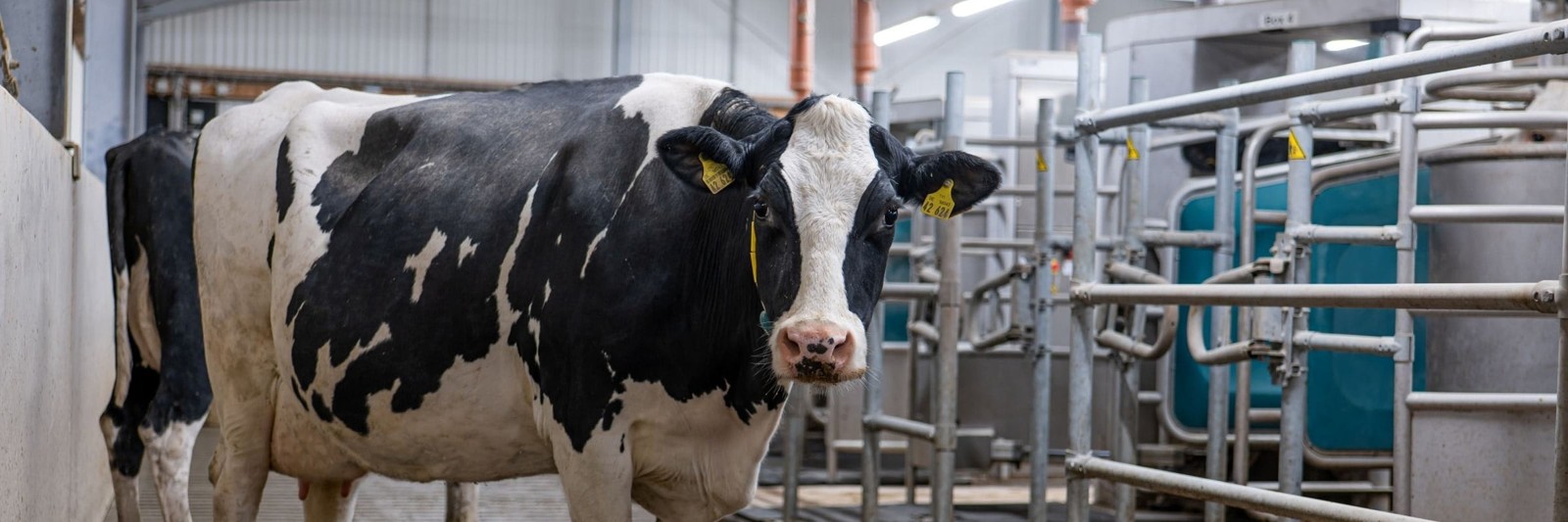 DairyRobot R9600