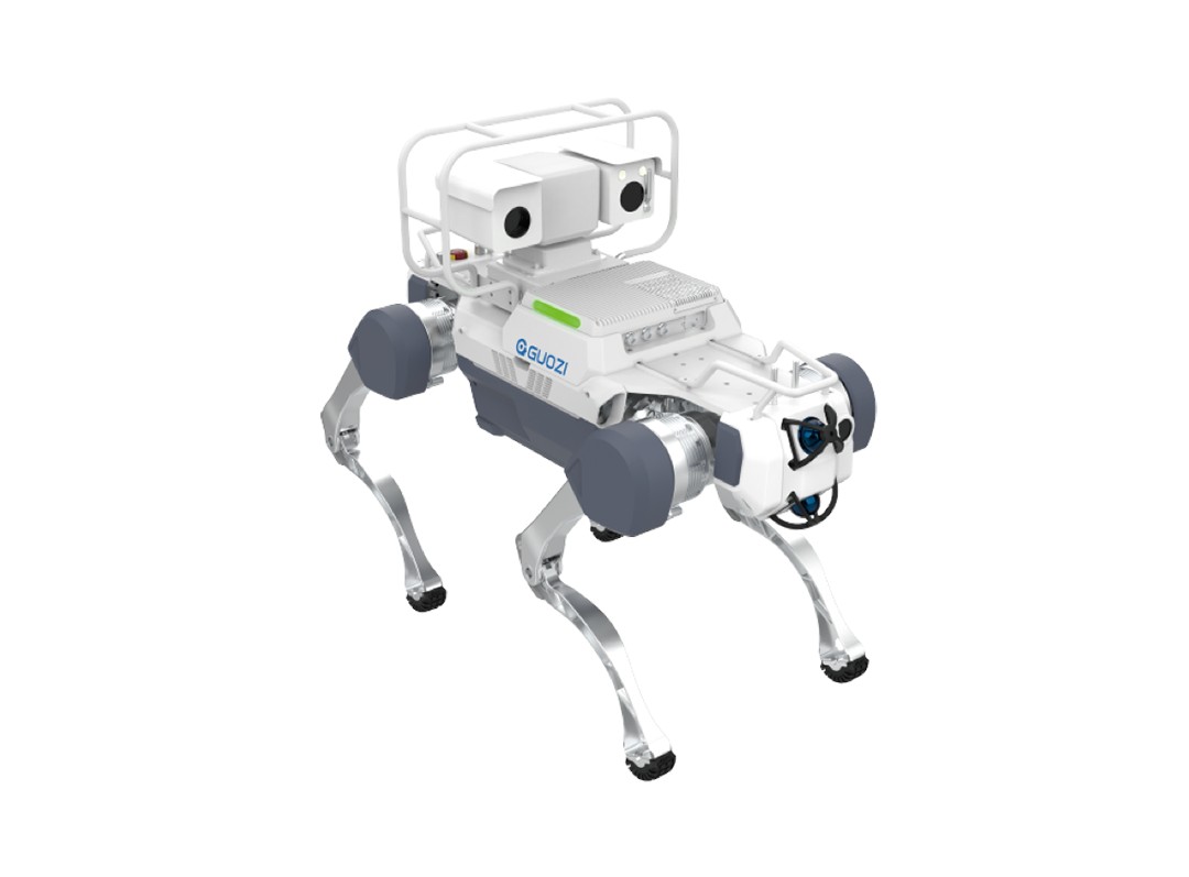 Quadruped Inspection Robot (XD100 / DD100 / QD100)