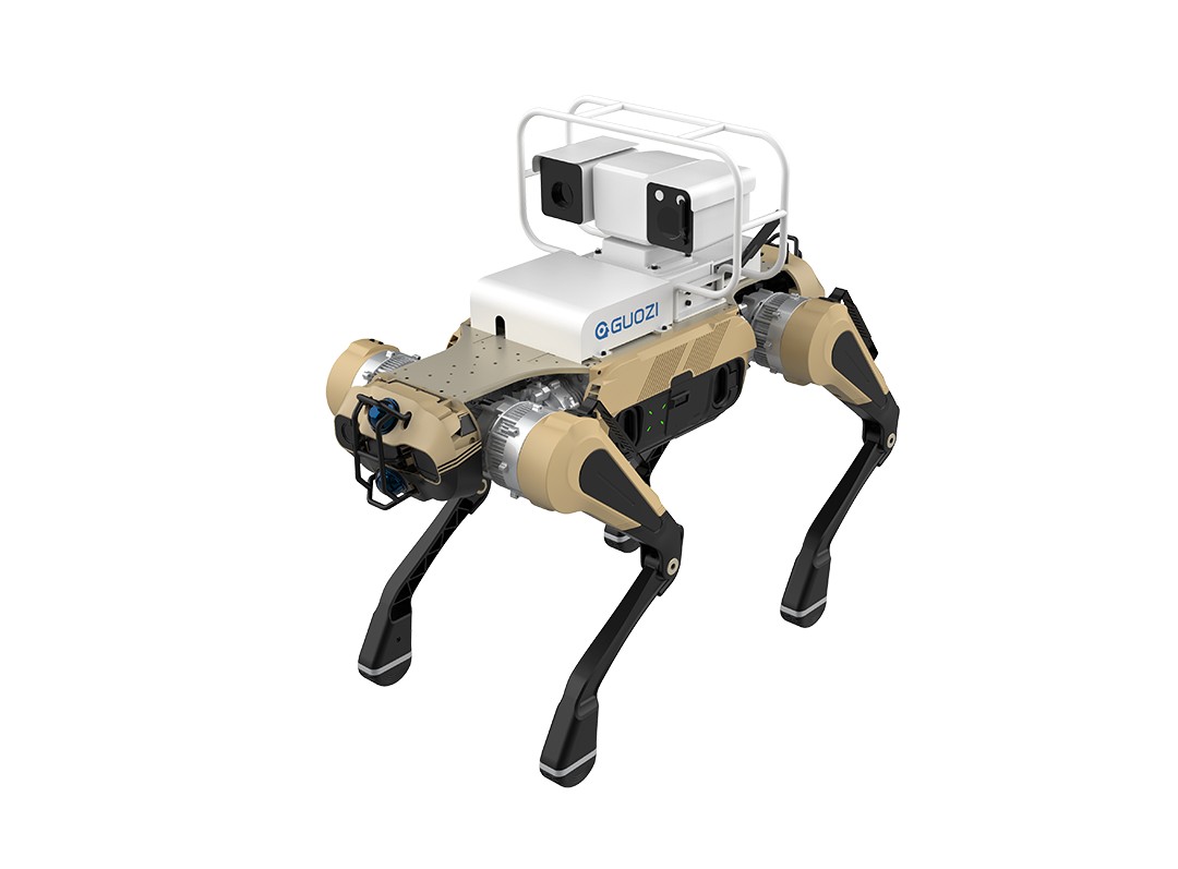 Quadruped Inspection Robot (XD100 / DD100 / QD100)
