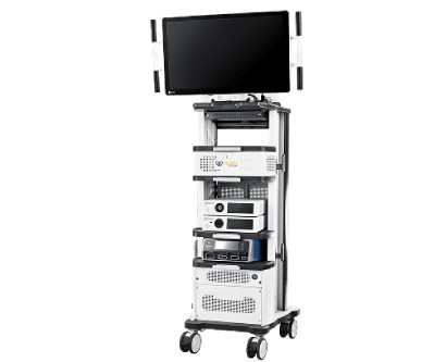 Mizzo Endo 4000