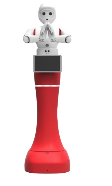 Nina robot