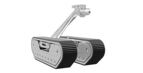 Endobot
