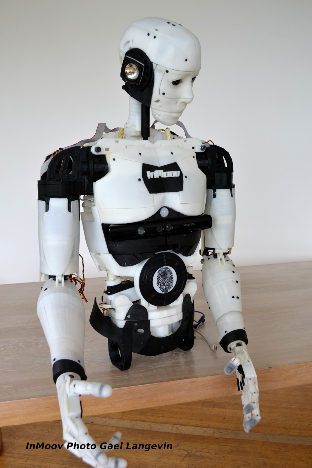 InMoov robot