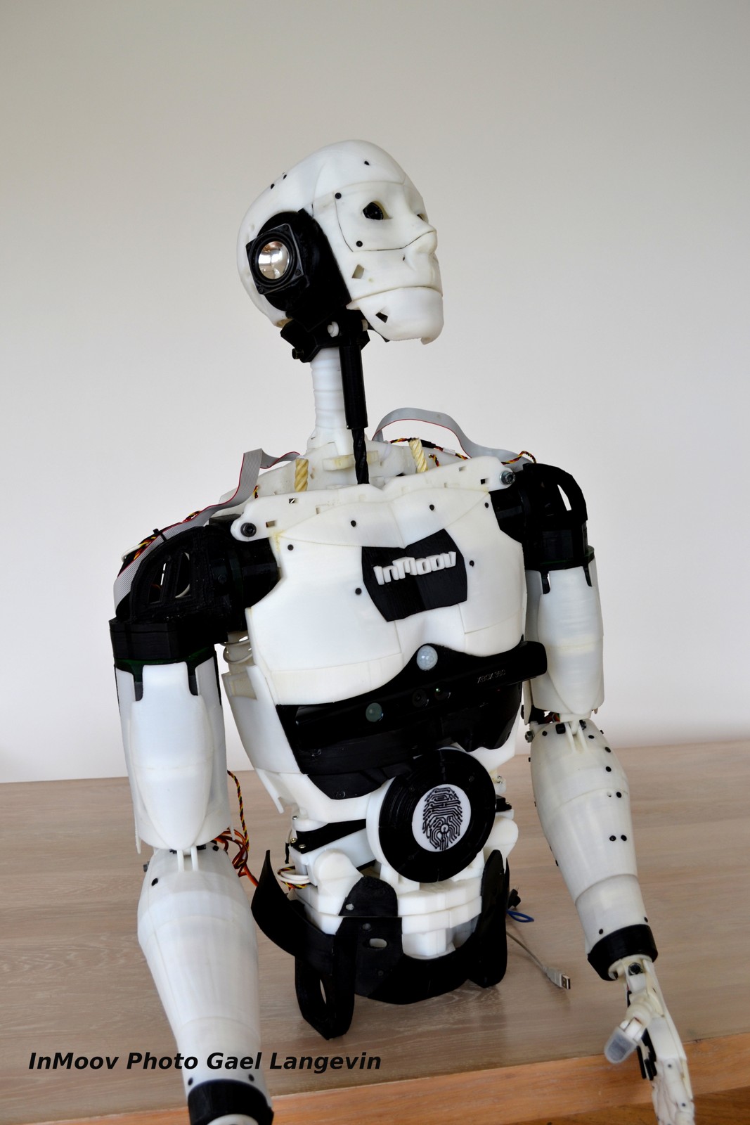 InMoov
