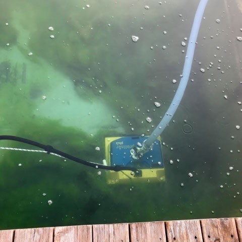 proliner tube