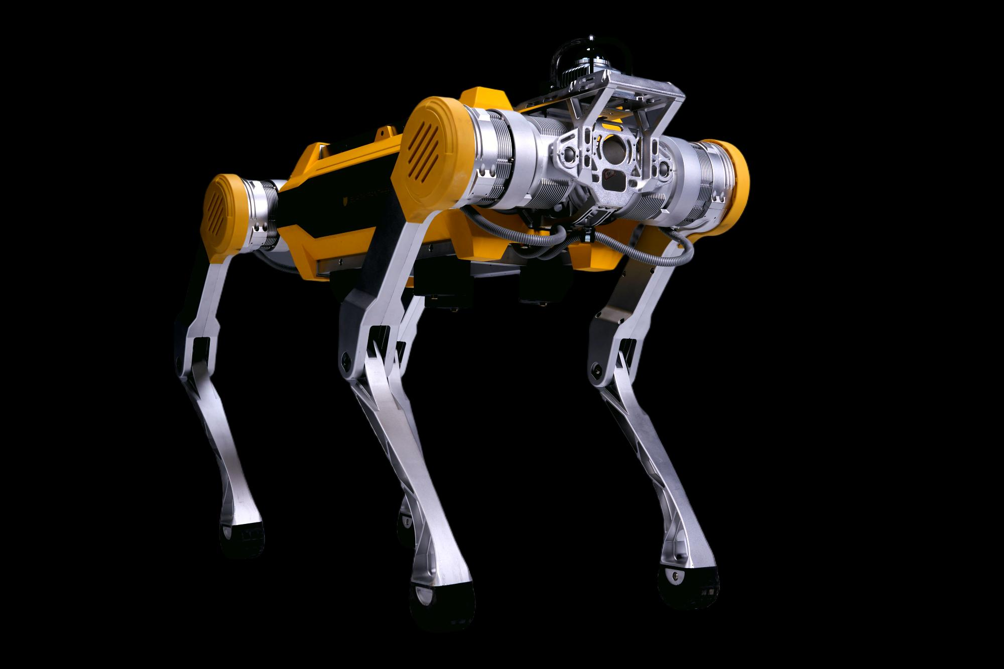Apollo robot