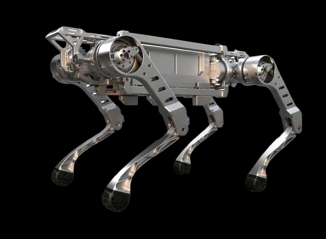 Black Panther X robot