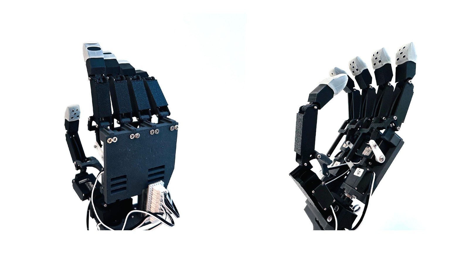 Red Rabbit Robotics RX1