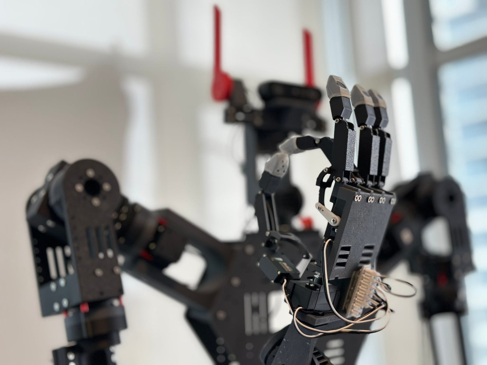 Red Rabbit Robotics RX1