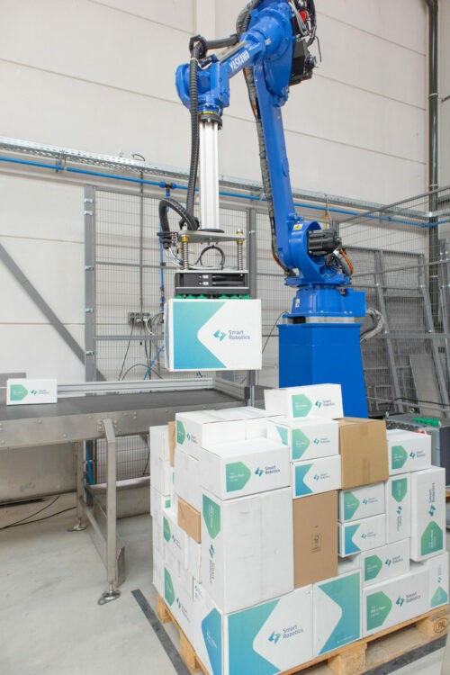 Smart Robotics Smart Mixed Case Palletizer