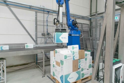 Smart Robotics Smart Mixed Case Palletizer