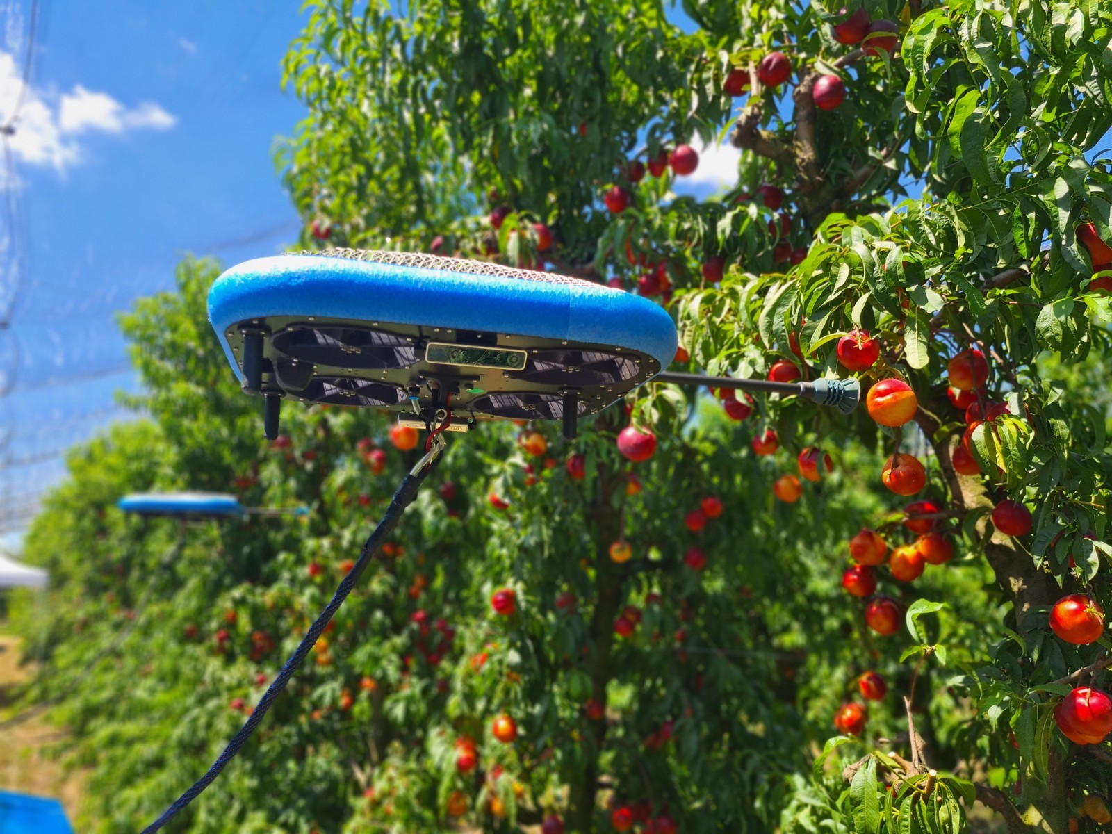 Flying Autonomous Robot