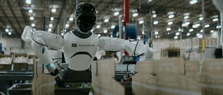 Avatar Robotics Avatar