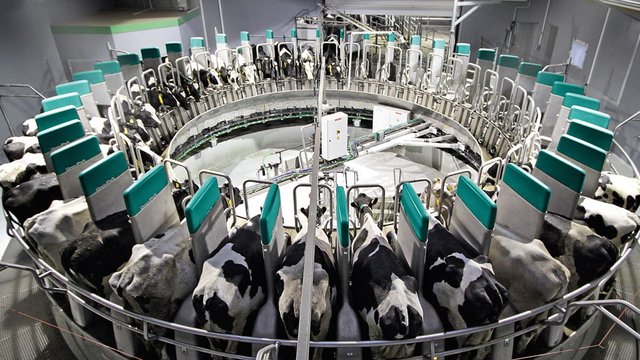 DairyProQ
