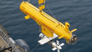 Dorado