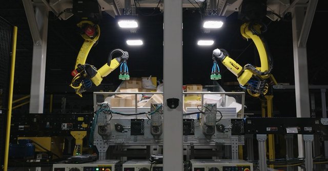 Dual 6-Axis Sortation