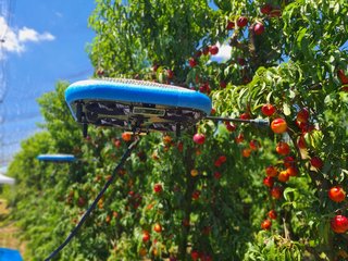 Flying Autonomous Robot