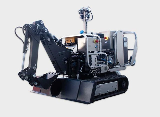 Gatto RC