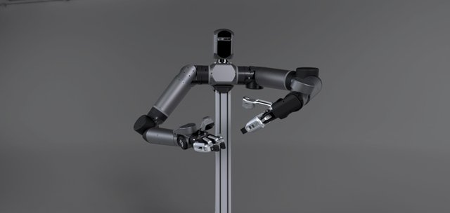 Perceptyne PR-DUO