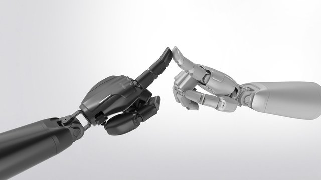 Xynova Prima 1