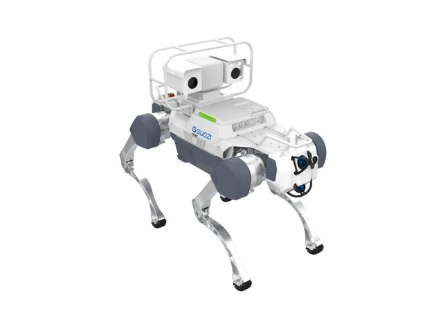 Quadruped Inspection Robot (XD100 / DD100 / QD100)