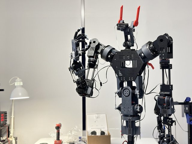 Red Rabbit Robotics RX1